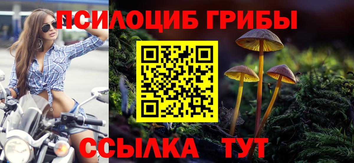 Галлюциногенные грибы Psilocybine cubensis Борисоглебск