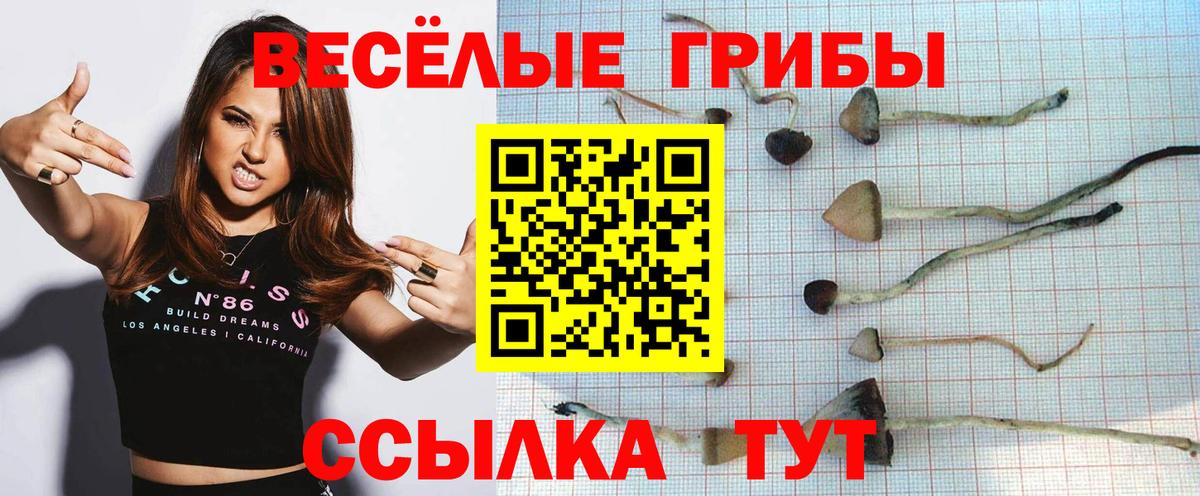Борисоглебск  Галлюциногенные грибы GOLDEN TEACHER  Вход с VPN  Галлюциногенные грибы ЛСД 